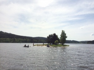 Ušatí nájemníci se vrátili na ostrov uprostřed lipenské přehrady.