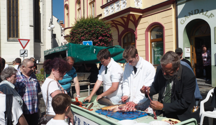 Atraktivní program nejen pro rybáře, ale i pro širokou veřejnost opět nabídnou tradiční Vodňanské rybářské dny.