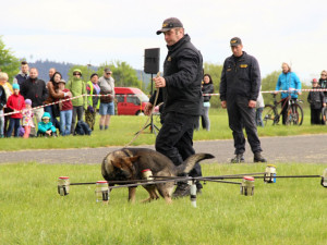 Příslušníci Vojenské policie ukážou, co všechno umí služební psi. Zdroj: archív 25. protiletadlového raketového pluku.