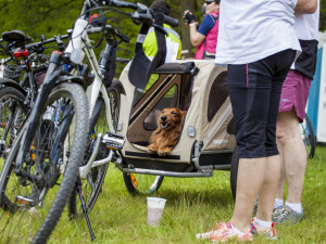 Turistickou sezonu na Hradecku zahájí tradiční výšlap Přes kopec.