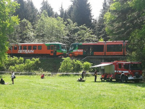 Srážku vlaků u Mříče způsobila podle inspekce chyba strojvůdce