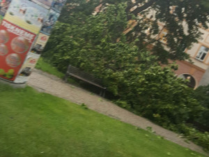 Na Senovážním náměstí  spadl strom.