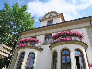 Rozkvetlé město.