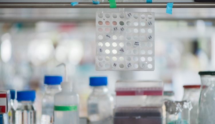 V Budějcích se naplno rozjel výzkum půdy a vody, nové laboratoře se zaměří na koloběh živin