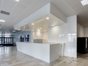 Holding Delnet slaví dvacet let a nabízí práci šikovným absolventům.