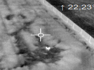 Při sečení luk každý rok zahyne mnoho srnčat. Lidé je proto zachraňují i díky dronům s termovizí.