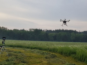 Při sečení luk každý rok zahyne mnoho srnčat. Lidé je proto zachraňují i díky dronům s termovizí.