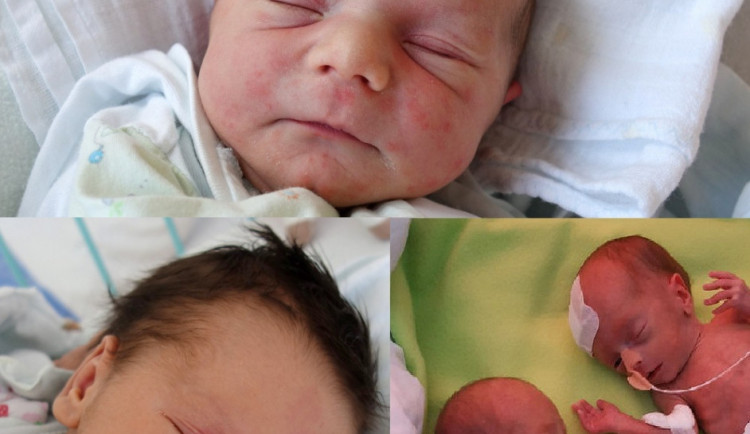 Dubnová drbňátka: Maxmilian Riede, Matěj a Ondřej Vránovi a Adéla Řehořová.