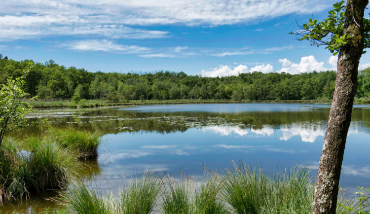 Ilustrační fotografie.