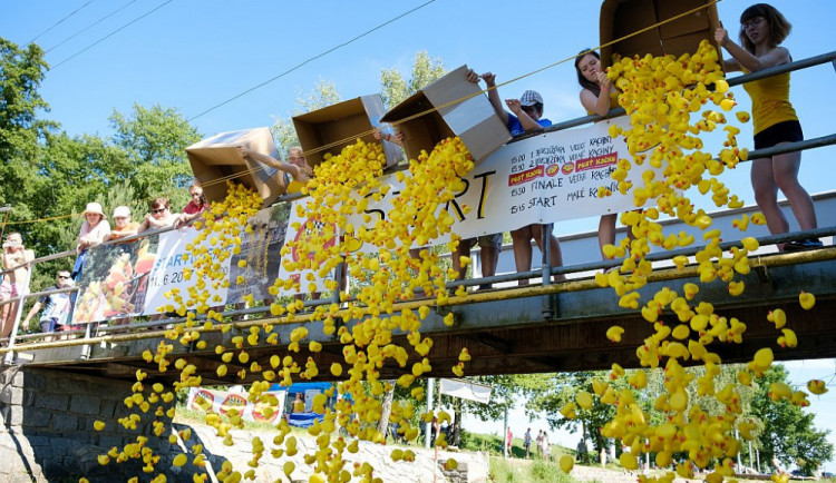 Dobročinný závod  Pusť kačku se uskuteční  ve Vodáckém areálu Lídy Polesné v Českém Vrbném.