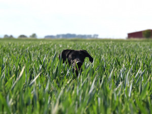 Kambodža je sportovec tělem i duší.