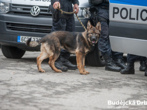 Policisté na Strakonicku vypátrali během několika hodin dva pohřešované