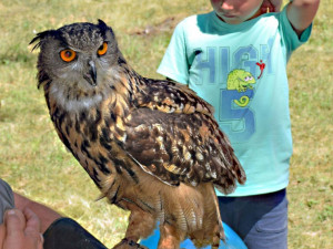 Dětský den myslivosti Zbudov.