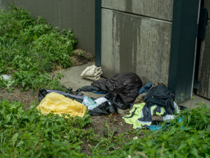 Ještě než stavbaři předali novou protihlukovou stěnu u výpadovky na Písek, která od frekventované čtyřproudové silnice odděluje sídliště Vltava v Budějcích, stačili ji "vyparádit" sprejeři. Je tam i nepořádek.