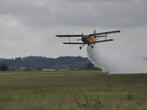 Jihočeští hasiči usedli do práškovacího letadla. Cvičili letecké hašení.