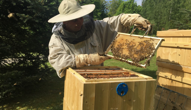 Temelínský včelař každé dva týdny úly kontroluje (Foto Marek Svitak)