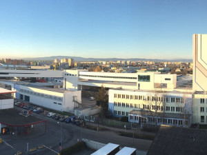 Budějovickému Budvaru se daří. Velké díky patří i zaměstnancům.