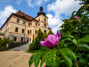 Síť elektrokol v jižních Čechách se rozrůstá.