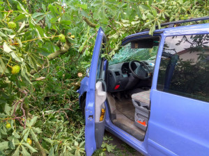 U Tábora spadl strom na projíždějící auto.
