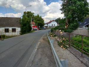 U Tábora spadl strom na projíždějící auto.
