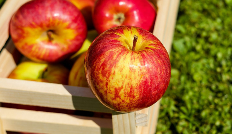 Jablka jsou nejdražší v historii, kilogram stojí přes 43 korun