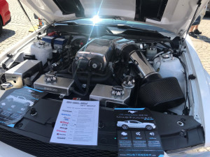 Mustangy na náměstí Přemysla Otakara II.