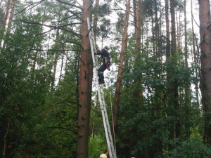 U Dlouhé Lhoty na Táborsku uvízl na stromě paraglidista. Museli ho vysvobodit hasiči.