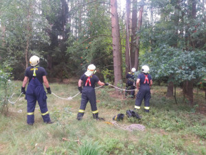 U Dlouhé Lhoty na Táborsku uvízl na stromě paraglidista. Museli ho vysvobodit hasiči.