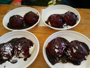 Borovanské Borůvkobraní. Foto: Simona Švecová