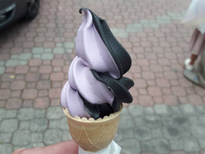 Borovanské Borůvkobraní. Fotot. Marek Marinek