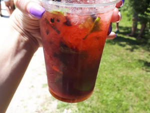 Borovanské Borůvkobraní. Foto: Martinka Turunen