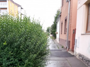Oprava chodníků v ulici Františka Ondříčka vyjde na dva miliony korun