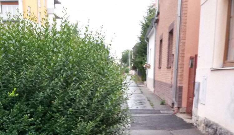 V ulici Františka Ondříčka na sídlišti Vltava se budou opravovat chodníky.