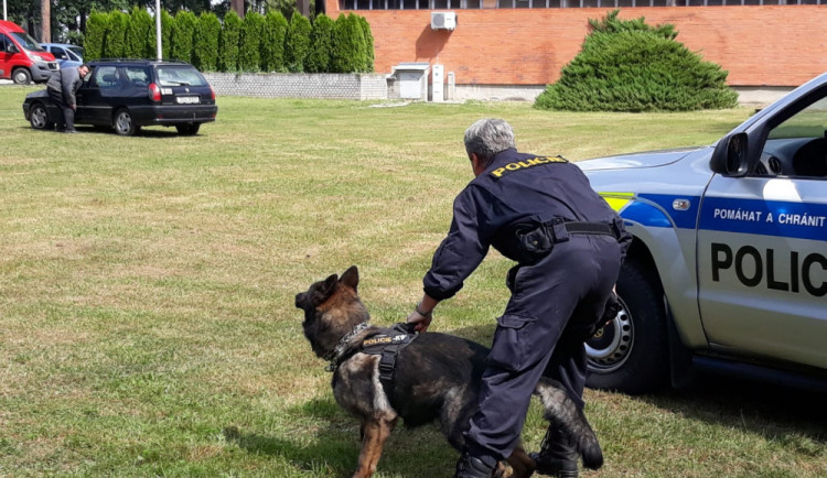 Ukázka práce s policejním psem.