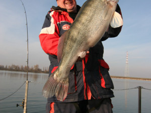 Italský Pád a candát o délce 89 centimetrů.