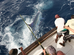 Finální fáze zdolávání bývá často nebezpečná.