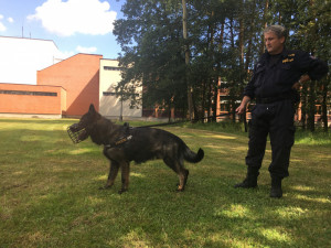 Policejní pes a jeho psovod.