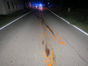 U Branišova došlo k neobvyklé dopravní nehodě. Motorkář se střetl se srnou.