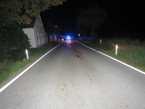 U Branišova došlo k neobvyklé dopravní nehodě. Motorkář se střetl se srnou.