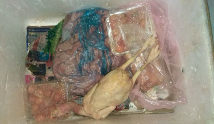 Státní veterinární správa objevila na Českobudějovicku čtyřicet kilo zkaženého masa na kebab