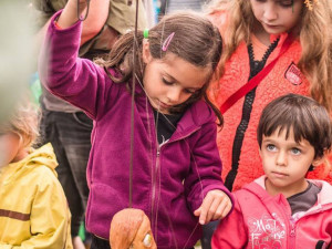 Festival bude slavnostně zahájen v pátek 10. srpna od 13 hodin a potěší všechny milovníky loutek, divadla, hudby, baletu, nového cirkusu, výtvarného i jiného umění a hlavně kvalitní zábavy.