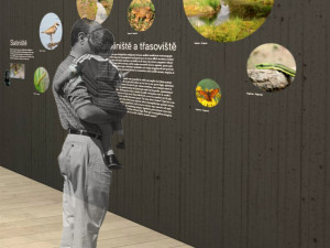 Vojenské lesy vybudují unikátní naučnou stezku přírodou u nejvýše položeného rybníku v Česku.