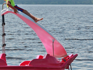 Plameňák v kempu Jetřábí I.l