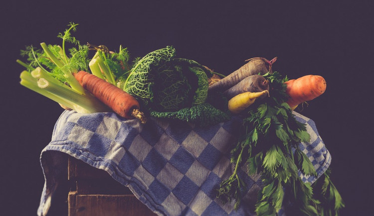 Ilustrační fotografie