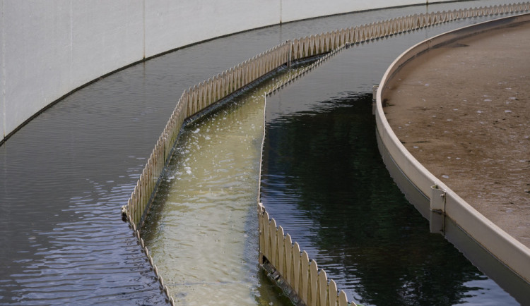 Ilustrační fotografie