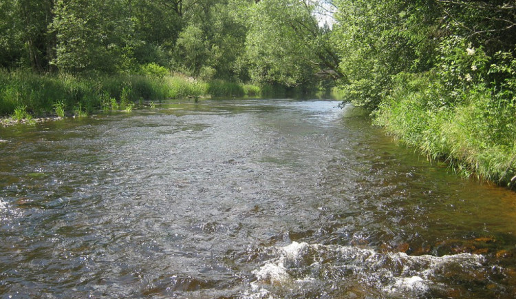 Teplá Vltava.