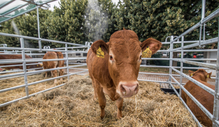 45. ročník agrosalonu Země živitelka.