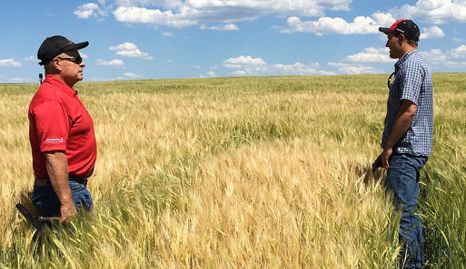 Moderní technologie pronikají i do tradičního českého pivovarnictví. Důkazem toho je projekt brazilsko-belgické společnosti AB InBev SmartBarley, který pomáhá farmářům po celém světě optimalizovat podmínky pro pěstování sladovnického ječmene.