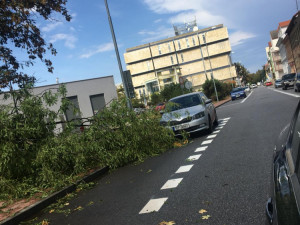 Průtrž mračen doprovázená silnějším větrem se prohnala dnes odpoledne Českými Budějovicemi.