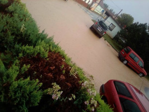 40012653_2084415871591381_368274668034981888_n